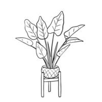 indoor pot palmboom. schets, de omtrek van een plant in een handgetekende doodle-stijl vector