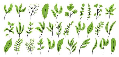 vector set takken, gebladerte en gras