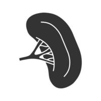menselijke milt glyph pictogram. lymfestelsel orgaan. silhouet symbool. negatieve ruimte. vector geïsoleerde illustratie