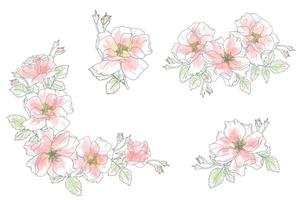 losse aquarel doodle lijntekeningen roos bloem boeket elementen collectie vector