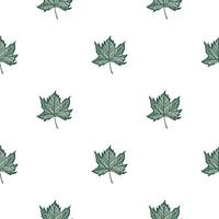 laat esdoorn gegraveerd naadloos patroon. vintage botanische achtergrond met Canadese gebladerte in de hand getekende stijl. vector