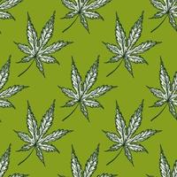 laat cannabis gegraveerd naadloos patroon achter. retro botanische achtergrond met bladmarihuana in de hand getekende stijl. vector