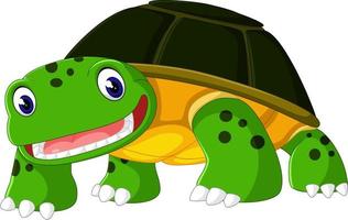 cartoon grappige schildpad geïsoleerd op witte achtergrond vector