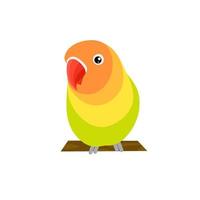 vectorillustratie van dwergpapegaaien pictogramafbeeldingen. eenvoudig en elegant kleurrijk dwergpapegaaiontwerp. perfect voor het tjilpende logo van de vogelclub. vector