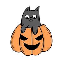 een schattige grijze kat zit in een pompoen voor Halloween. doodle stijl illustratie vector