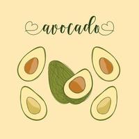 avocado geïsoleerde objecten. handgetekende elementen. vector