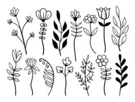 elementen hand getrokken doodle bloemen vector