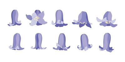 set van bluebell bloeiende bloemen illustratie. vector