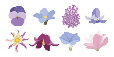 set van kleurrijke bloeiende bloemen illustratie. vector