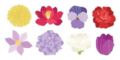 set van kleurrijke bloeiende bloemen illustratie. vector