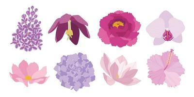 set van kleurrijke bloeiende bloemen illustratie. vector