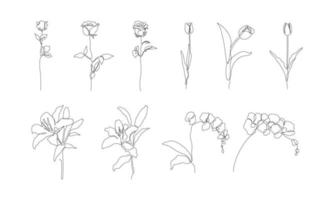 tulp, papaver en maïs kokkel bloemen illustratie in één lijn kunststijl. doorlopende tekening in vector die het best wordt gebruikt voor iconen, kunst aan de muur, posters, tijdschriften, ansichtkaarten, enz.