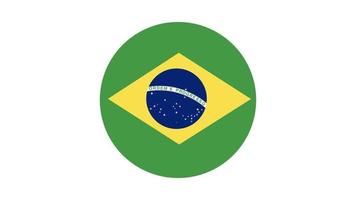 braziliaanse vlag cirkel, vector afbeelding en pictogram