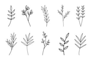 set van bloemen hand getekende vector. handgetekende planten in doodle stijl. botanische illustratie. vector