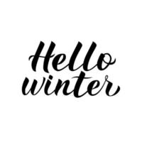 hallo winter kalligrafie belettering geïsoleerd op wit. offerte handgeschreven met penseel. typografie poster. vectorillustratie. gemakkelijk te bewerken sjabloon. vector