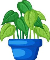 plant in een pot in tekenfilm vector