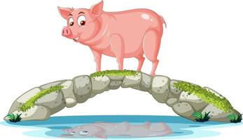 een varken dat op een stenen brug staat vector