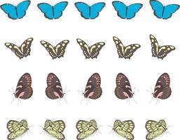 verschillende tropische vlinders in rijen vector