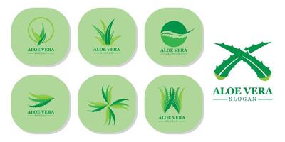 groene plant aloë vera logo vector pictogram symbool vele voordelen