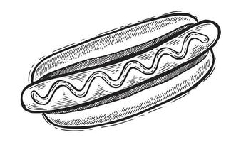 hotdog hand getekende illustratie. vector