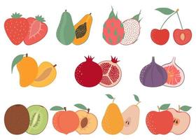 kleurrijke vruchten set, platte design iconen collectie. aardbei, papaya, drakenfruit, mango, kers, peer, vijg, granaatappel, kiwi, perzik, appel.