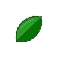 groene blad vectorillustratie. eco natuur symbool. handgetekende stijl vector