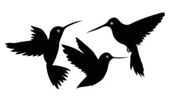 set van zwarte vogel silhouetten. vectorelementen voor ontwerp. vector
