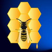 honingraten van honing en een bij vector