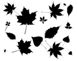 zwarte silhouetten van bladeren op een witte achtergrond vector