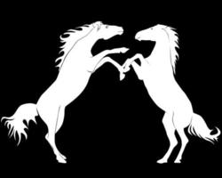 witte silhouetten van twee paarden vector