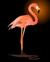 roze flamingo tegen een donkere achtergrond vector