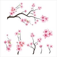 tak boom vector illustratie zomer clipart herfst clipart natuur bos, achtergrond kersenbloesem lente bloem japan, tak van bloeiende sakura met bloemen, kersenbloesem