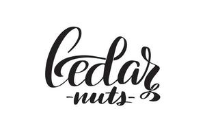 inspirerende handgeschreven borstel belettering cedernoten. vector kalligrafie illustratie geïsoleerd op een witte achtergrond. typografie voor banners, badges, ansichtkaarten, tshirts, prenten, posters.