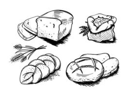 brood set handgetekende bakkerij element vector schets doodle. voor café- en bakkerijmenu's