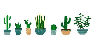 set van verschillende cactussen en vetplanten in bloempot. cartoon kleurrijke kamerplanten. vector