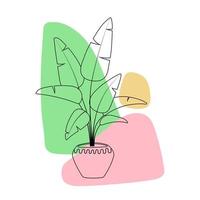 strelitzia plant in bloempot. lijn kunst hand getekende kamerplant met gekleurde abstracte vormen. modern minimalisme vector
