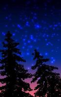 pijnbomen in silhouet met sterrenhemel vector