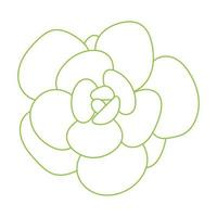 woestijnbloem voor print en design. doodle sappige bloem. vector