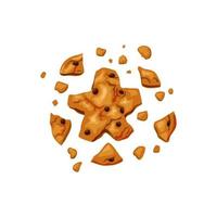 gebeten koekjes met chocoladeschilfers. gebroken koekje in de vorm van een ster. vector cartoon illustratie