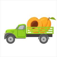 voedsel levering vrachtwagen abrikoos fruit harvesting.car illustratie vector.ripe abrikoos fruits.isolated op een witte achtergrond. vector