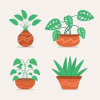 esthetische kamerplant set illustratie vector