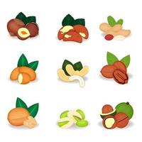 noten instellen amandel, paranoot, cashew, macadamia, hazelnoot, pinda, pecannoot, pistache, walnoten, vectorillustratie, productontwerp vector