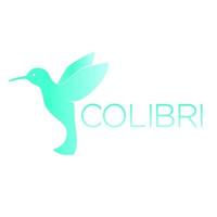 colibri logo element, kolibrie, geïsoleerd op wit, vectorillustratie vector