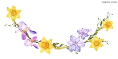 decoratieve aquarel boog met lente bloemen narcis en iris en fresia op een witte achtergrond, getraceerd vector