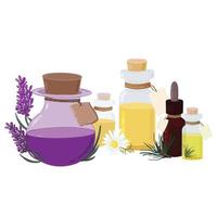 set glazen cosmetische flessen met olie en tags, dennen, lavendel, kamille aromatische olie, vector