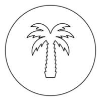 palmboom tropische kokosnoot pictogram in cirkel ronde zwarte kleur vector illustratie afbeelding overzicht contour lijn dunne stijl