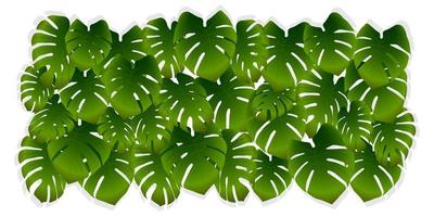tropische palmbladeren op een witte achtergrond. groene vector achtergrond van jungle of monstera bladeren. realistische afbeelding voor banner, advertentie of behang.