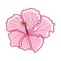 tropische hibiscus bloem decoratieve exotische plant vector