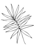 bladeren contour, handgetekende vector tekening