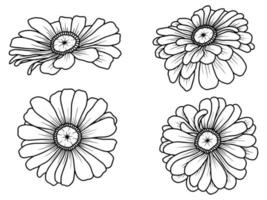 hand getekende bloem schets lijn kunst illustratie vector